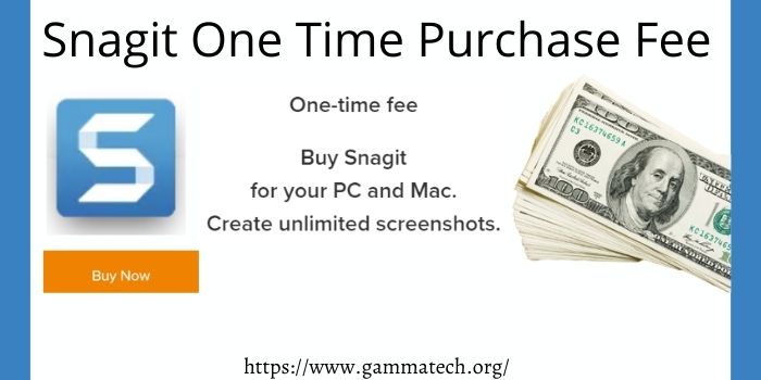Snagit One Time Purchase Fee